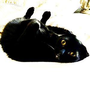 Shop Till You Drop...💕💕